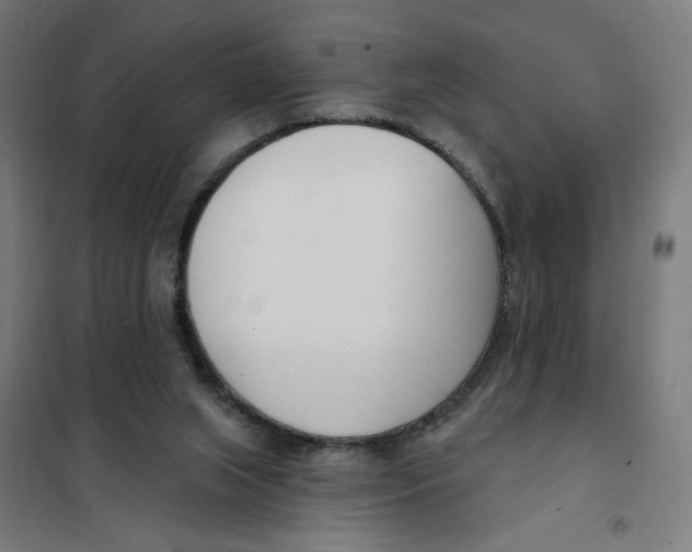 X0000101180063200807250949