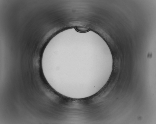 X0000101180064200807250949