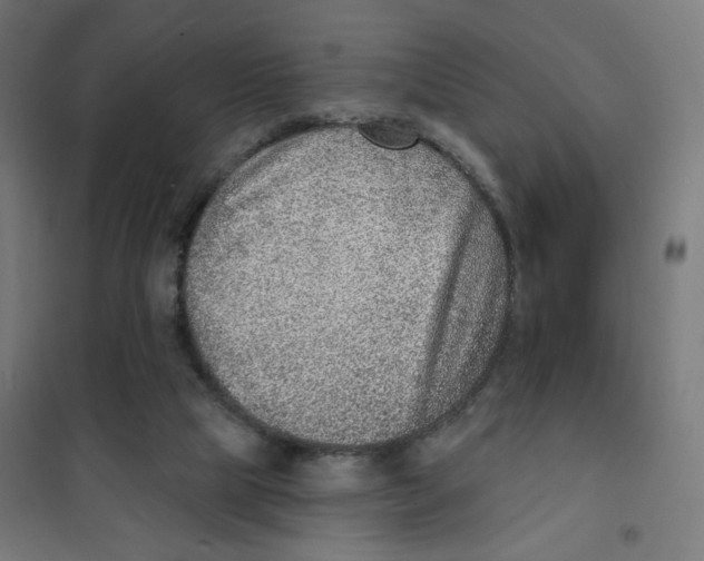 X0000101180065200807250949