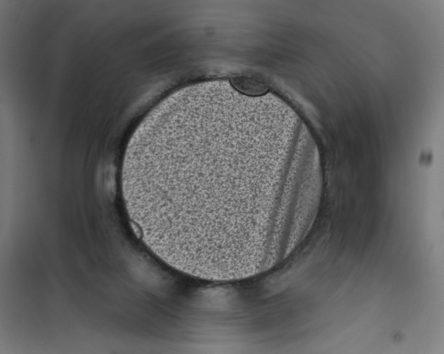 X0000101180067200807250949