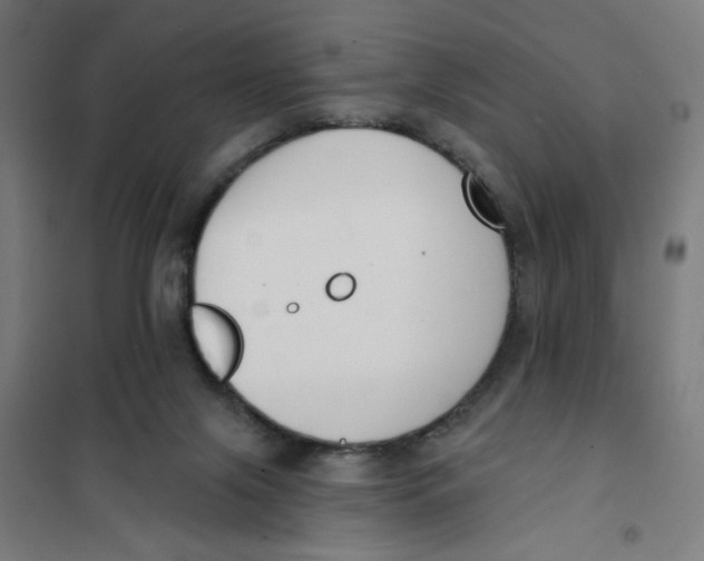 X0000101180071200807250949