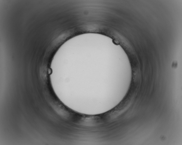 X0000101180072200807250949