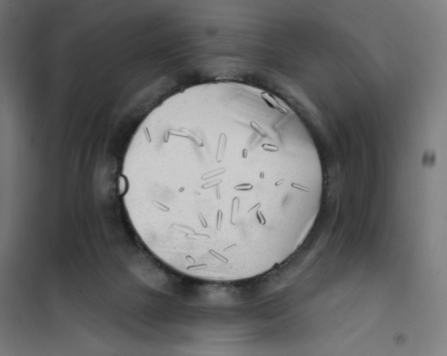 X0000101180073200807250949