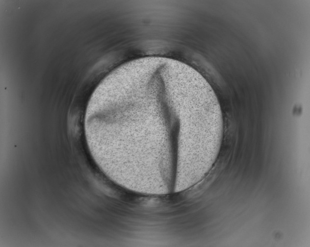 X0000101180074200807250949