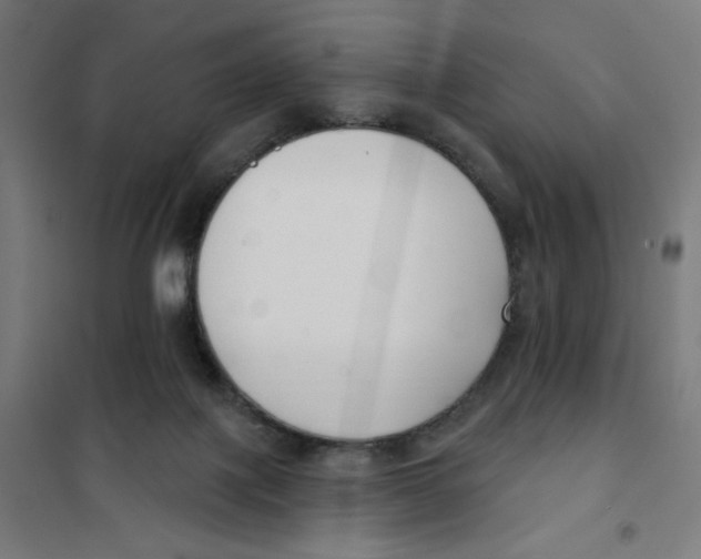 X0000101180075200807250949