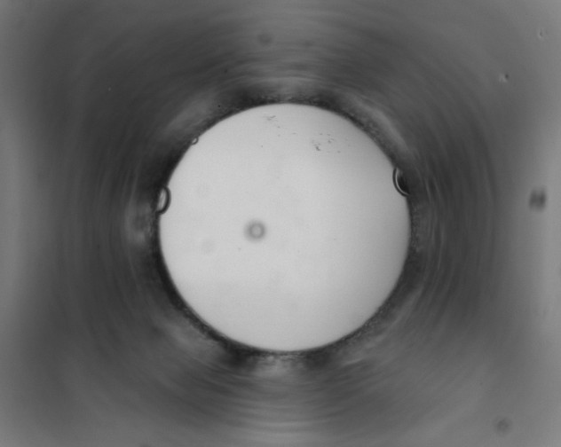 X0000101180077200807250949