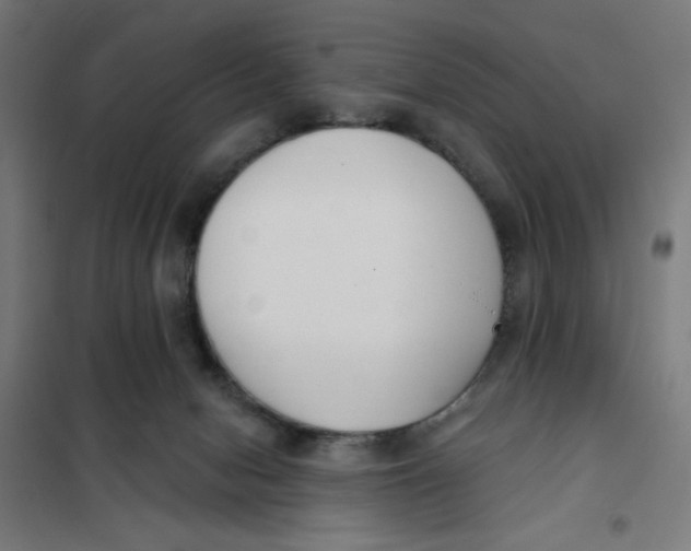 X0000101180078200807250949