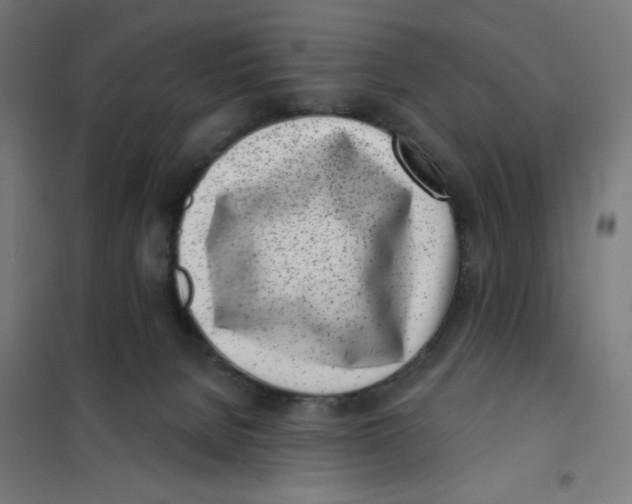 X0000101180080200807250949