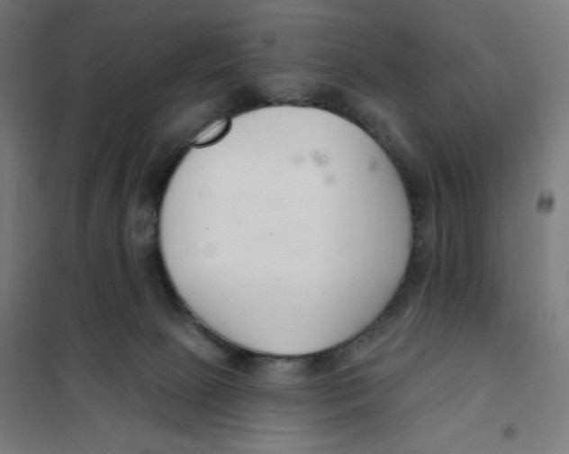 X0000101180081200807250949