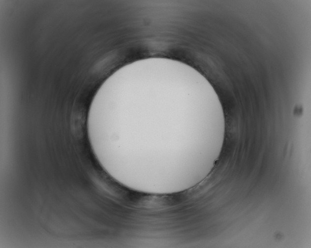 X0000101180082200807250949