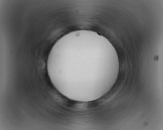 X0000101180084200807250949