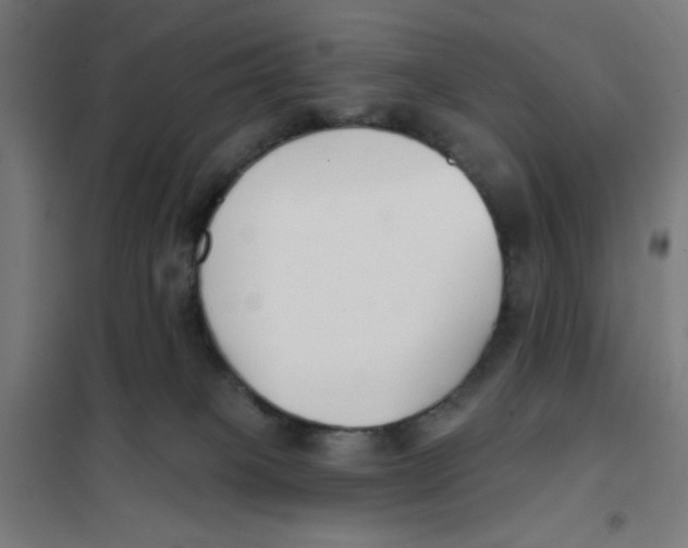 X0000101180085200807250949