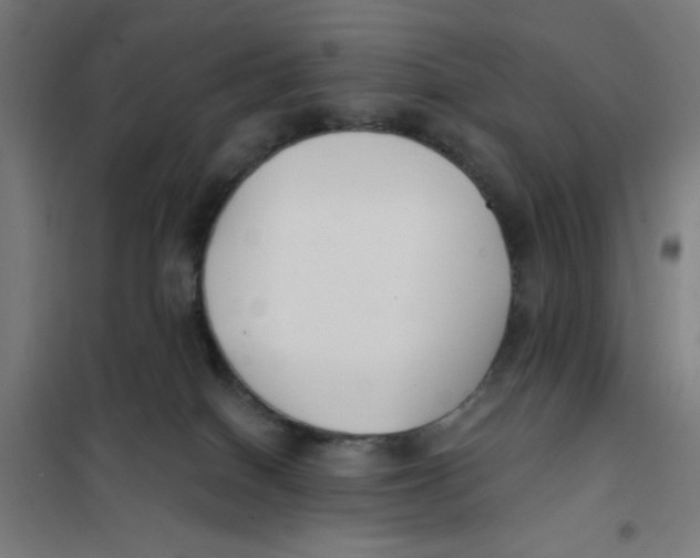 X0000101180086200807250949