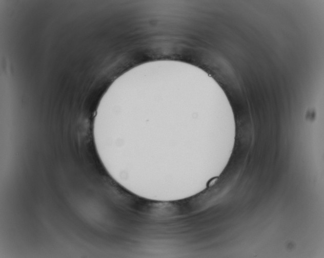 X0000101180087200807250949