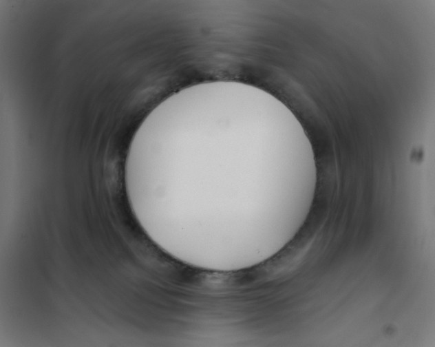 X0000101180088200807250949