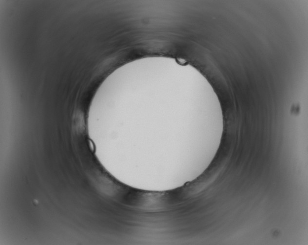 X0000101180089200807250949