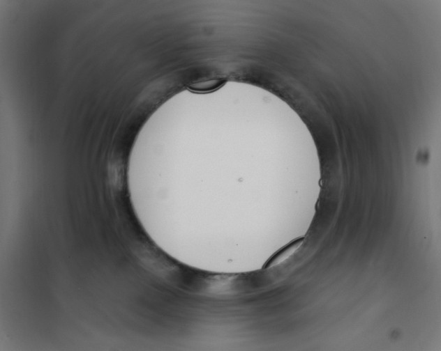 X0000101180090200807250949