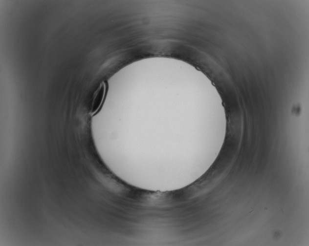 X0000101180092200807250949