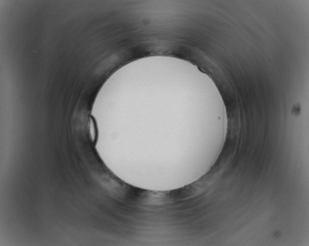 X0000101180093200807250950