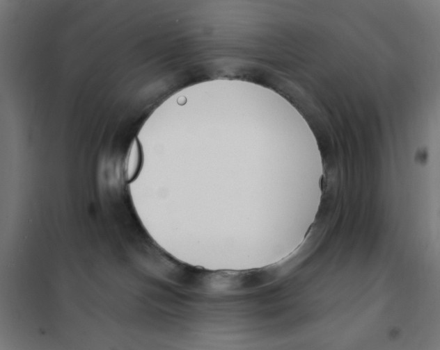 X0000101180094200807250950