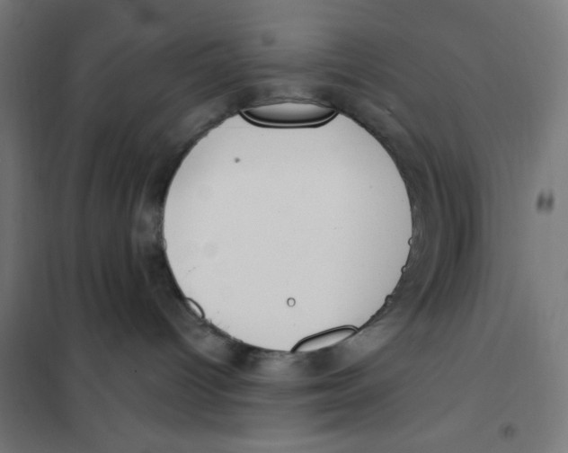 X0000101180096200807250950