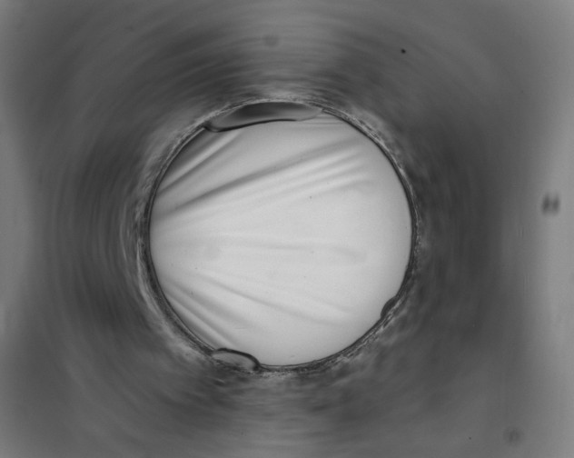 X0000101180097200807250949