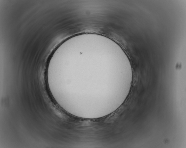 X0000101180098200807250949