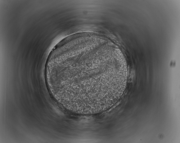 X0000101180099200807250949