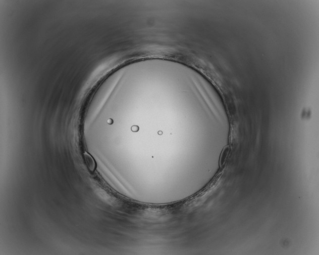 X0000101180101200807250949