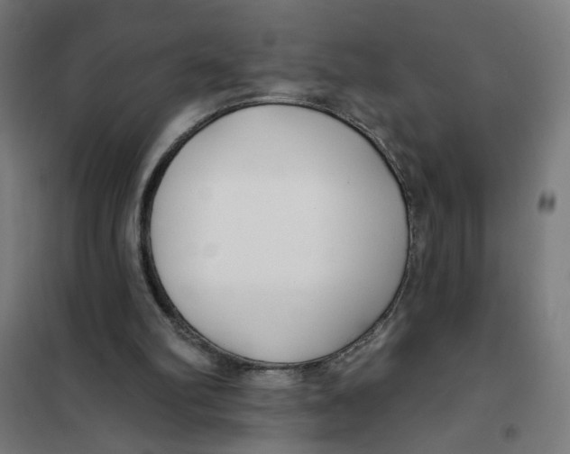 X0000101180102200807250949