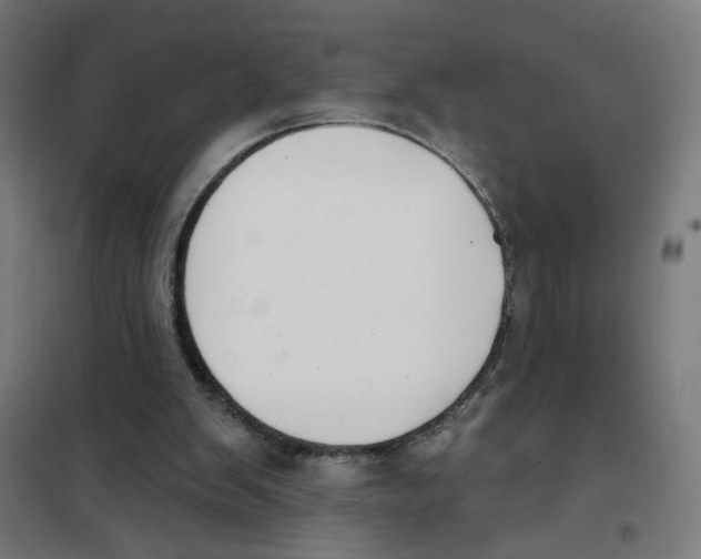 X0000101180103200807250949