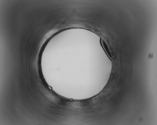 X0000101180104200807250949