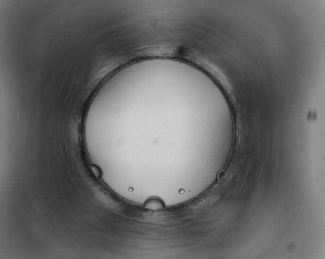 X0000101180105200807250949