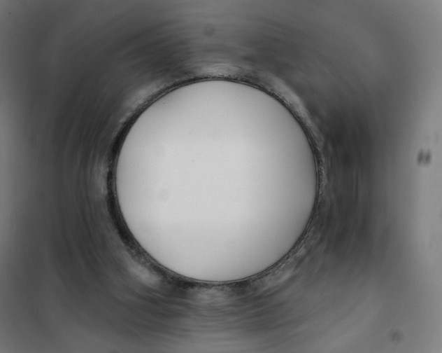 X0000101180106200807250949