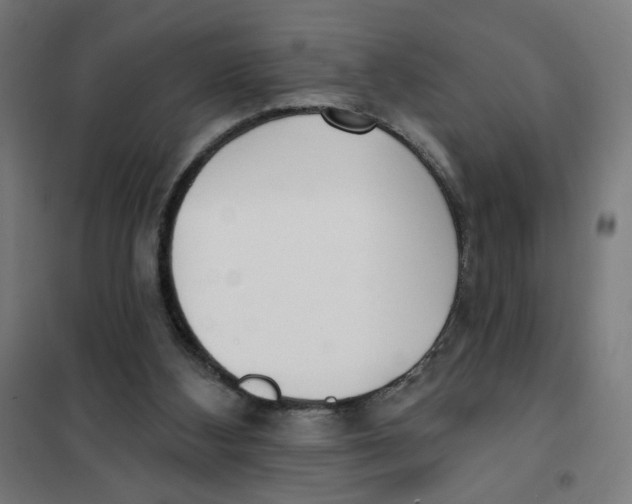 X0000101180108200807250949