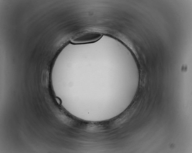 X0000101180109200807250949