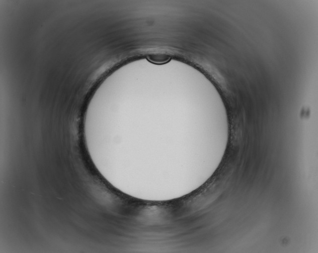 X0000101180111200807250949