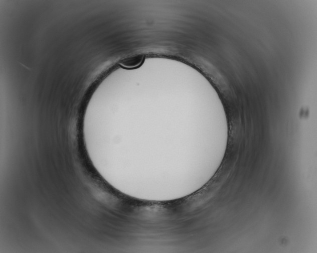 X0000101180112200807250949