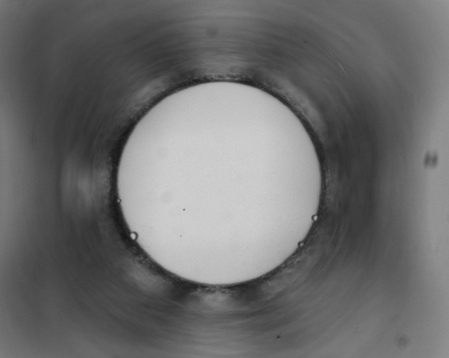 X0000101180113200807250949