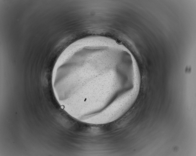 X0000101180114200807250949