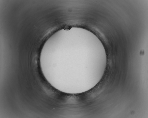 X0000101180115200807250949