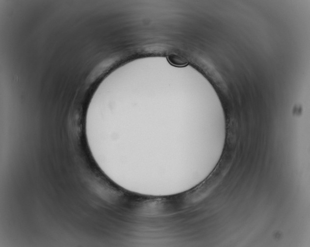 X0000101180116200807250949