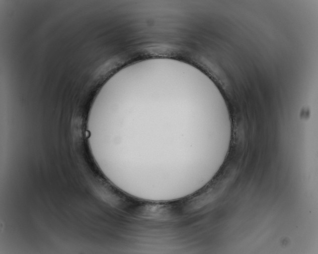 X0000101180117200807250949