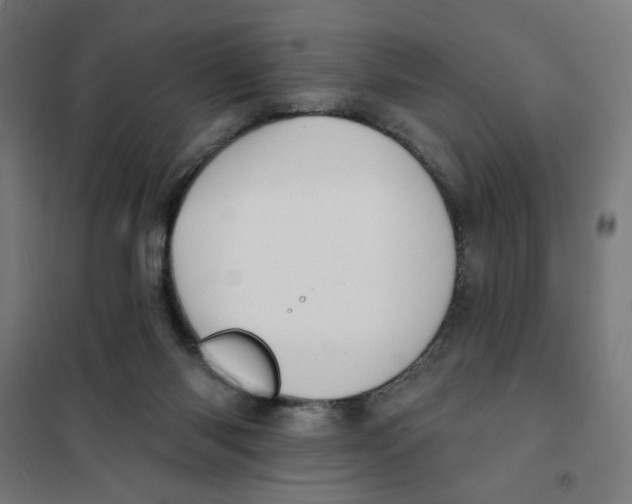 X0000101180118200807250949