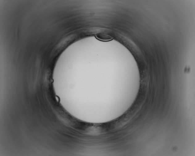 X0000101180119200807250949