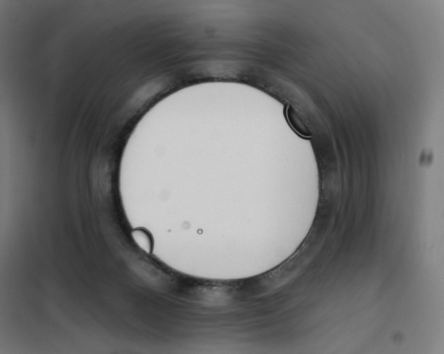 X0000101180120200807250949