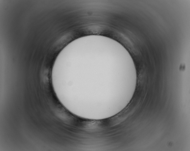 X0000101180122200807250949