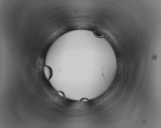 X0000101180123200807250949