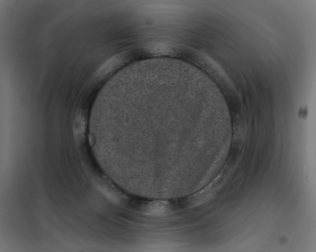 X0000101180124200807250949