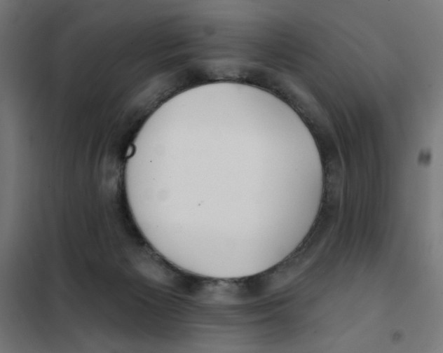 X0000101180125200807250949